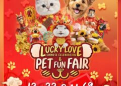 #เดย์ไทม์นิวส์ออนไลน์  อยุธยา – “อยุธยาซิตี้พาร์ค มอบความสุข ความมงคล ฉลองรับตรุษจีนปีม้าไฟ”